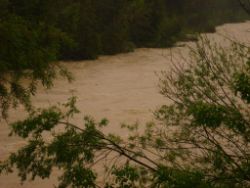 2013-06-02_Regina-F-Rau_Geretsrieder-Stadtbach_Isar (39).JPG